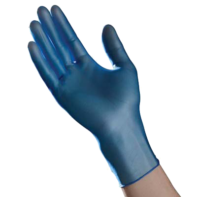 The Safety Zone X-Large Powder Free Vinyl Gloves, GVP9-XL-1-BL, Blue, 1000/Case