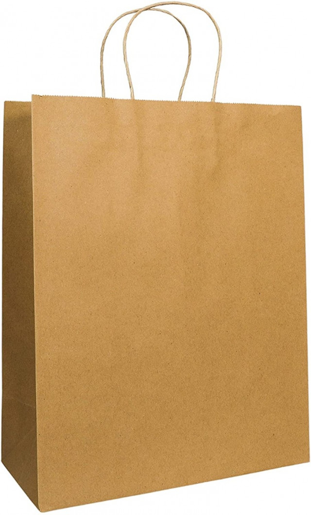 Colorbox 13 pk Large kraft Paper Bags - Brown