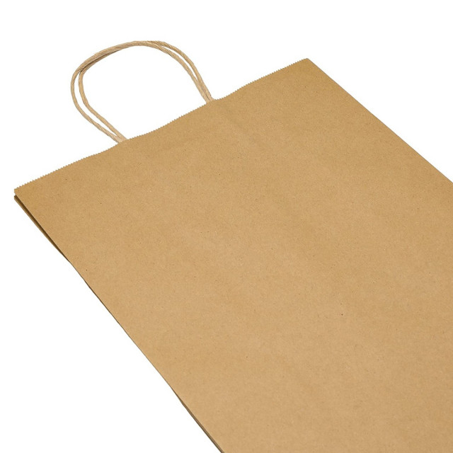 Signature 30 gal Double Wall Paper Lawn Bags (5 ct)