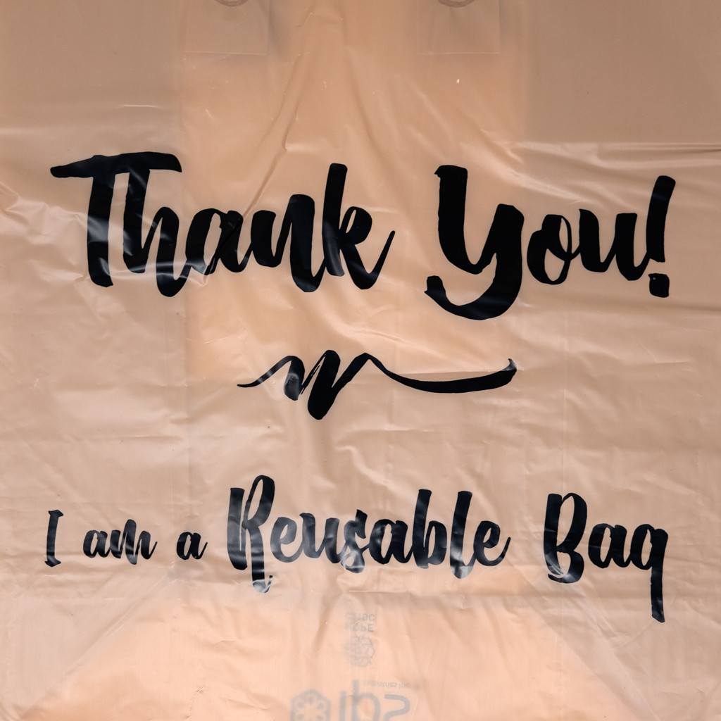 IPS Reusable Self-Standing Brown Bag, 2.25 Mil, 12
