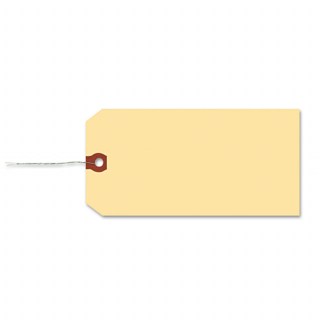 Avery® Double Wired Shipping Tags, 11.5 pt. Stock, 4.75 x 2.38