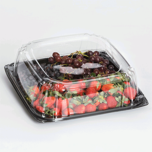 Microwavable Catering Tray Combo