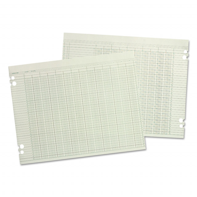 Accounting Sheets, 9.25 x 11.88, Green, Loose Sheet, 100/Pack Accounting Sheets, 9.25 x 11.88, Green, Loose Sheet, 100/Pack