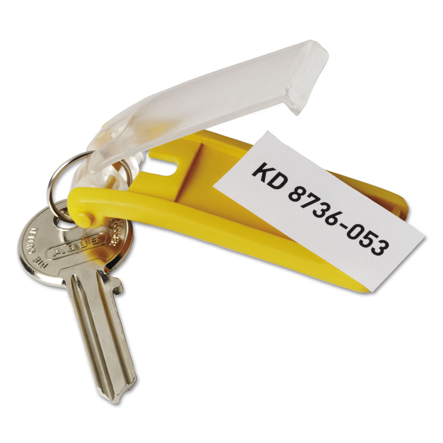 TOSEERY 100Pack Plastic Key Tags with Container, Key Labels with Ring Label Window Key Tags Key Tags with Labels, Size: One Size