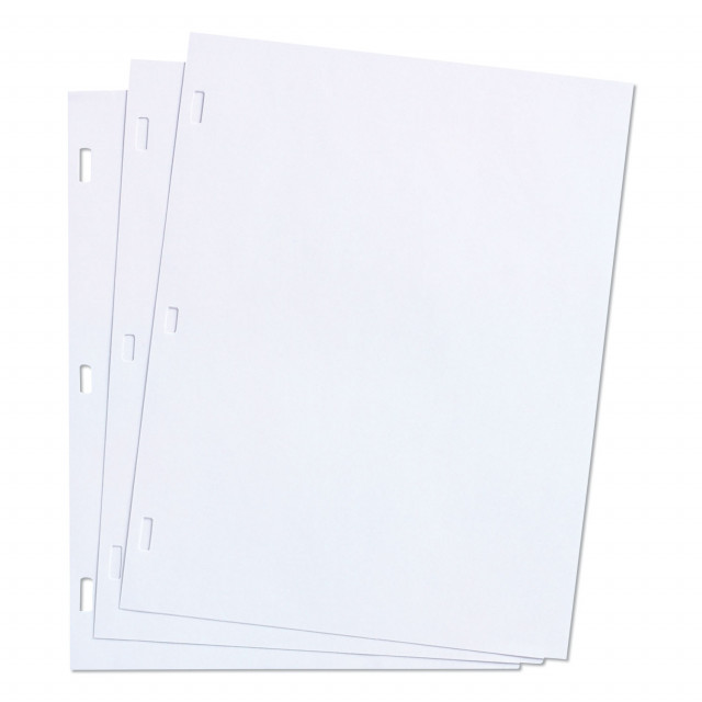 Ledger Sheets for Corporation and Minute Book, 11 x 8.5, White, Loose Sheet, 100/Box Ledger Sheets for Corporation and Minute Book, 11 x 8.5, White, Loose Sheet, 100/Box
