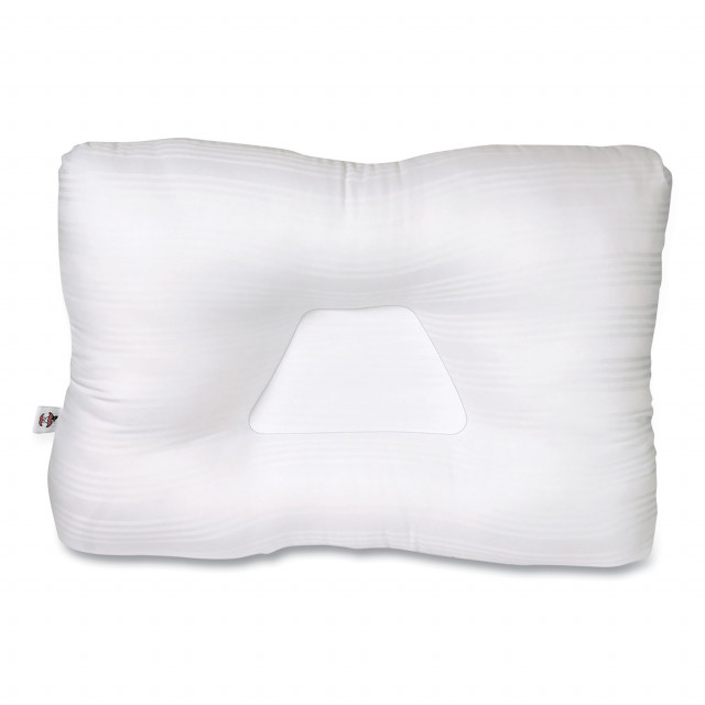 Giant Roach Pillows (4 SIZES) - 22 / 55 cm