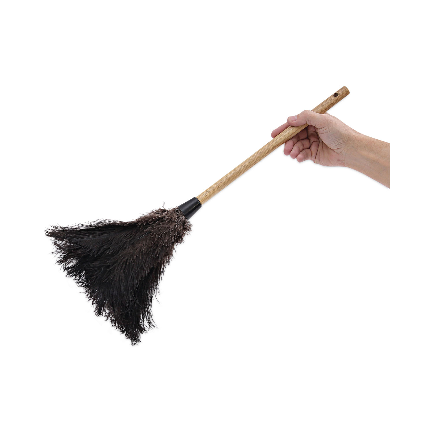 Boardwalk 20Bk Professional Ostrich Feather Duster - 10 in. Handle