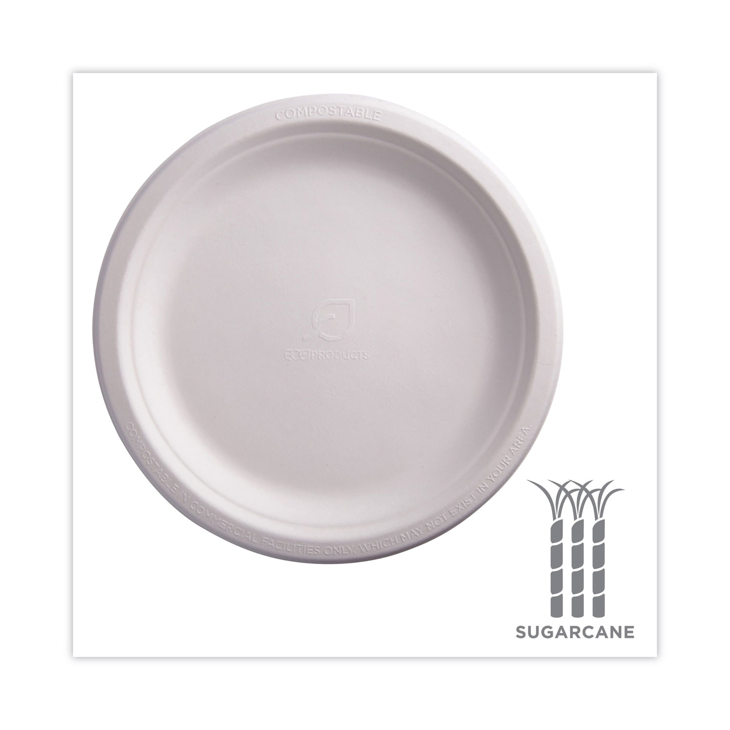Perk Economy Paper Plates, 9, White, 100/Pack (PK56516) | Quill