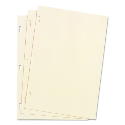 Looseleaf Minute Book Ledger Sheets, 11 x 8.5, Ivory, Loose Sheet, 100/Box Looseleaf Minute Book Ledger Sheets, 11 x 8.5, Ivory, Loose Sheet, 100/Box