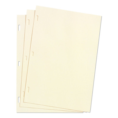 Ledger Sheets for Corporation and Minute Book, 11 x 8.5, White, Loose Sheet, 100/Box Ledger Sheets for Corporation and Minute Book, 11 x 8.5, White, Loose Sheet, 100/Box